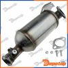 Filtres à Particules Diesel EURO4 pour RENAULT | DPF-RE-001, 095-705